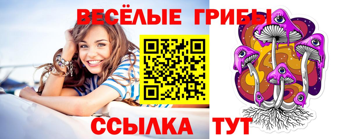 Псилоцибиновые грибы Psilocybe Нарьян-Мар