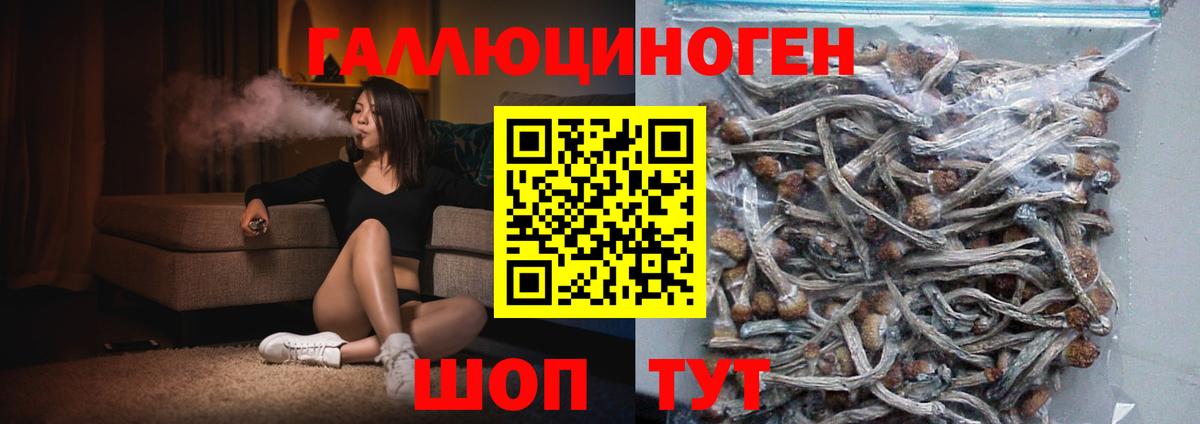 Псилоцибиновые грибы Magic Shrooms  Вход с VPN  Нарьян-Мар 